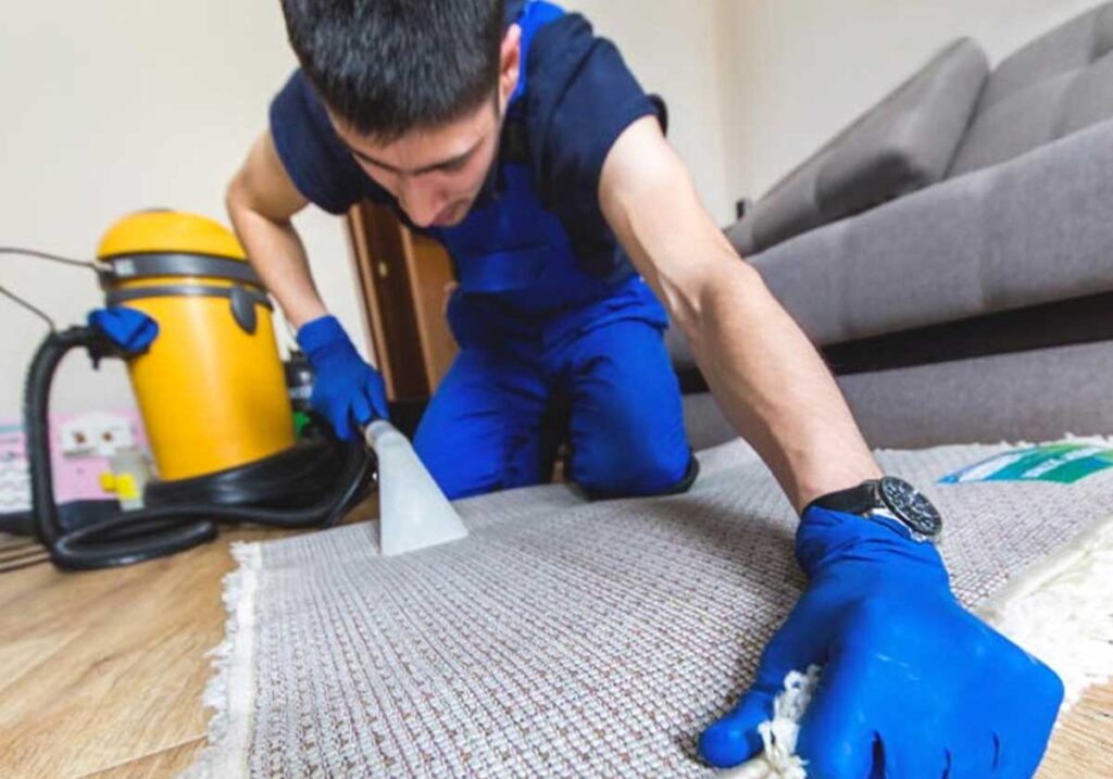 Cómo limpiar alfombras en casa paso a paso