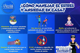 Cómo reducir el estrés en casa: hábitos simples para sentirte mejor cada día